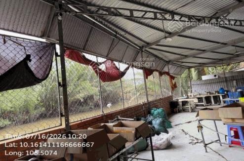 Bán nhà xưởng tuyến tránh giồng trôm