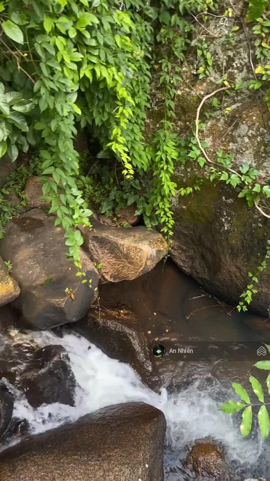 Chưa tới 1 tỷ sở hữu vườn nhà đồi view thung lũng gần hồ trị an