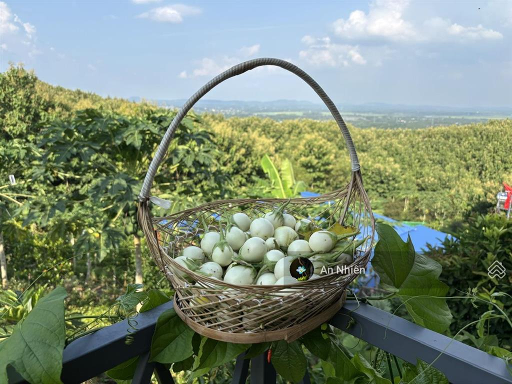 Chưa tới 1 tỷ sở hữu vườn nhà đồi view thung lũng gần hồ trị an