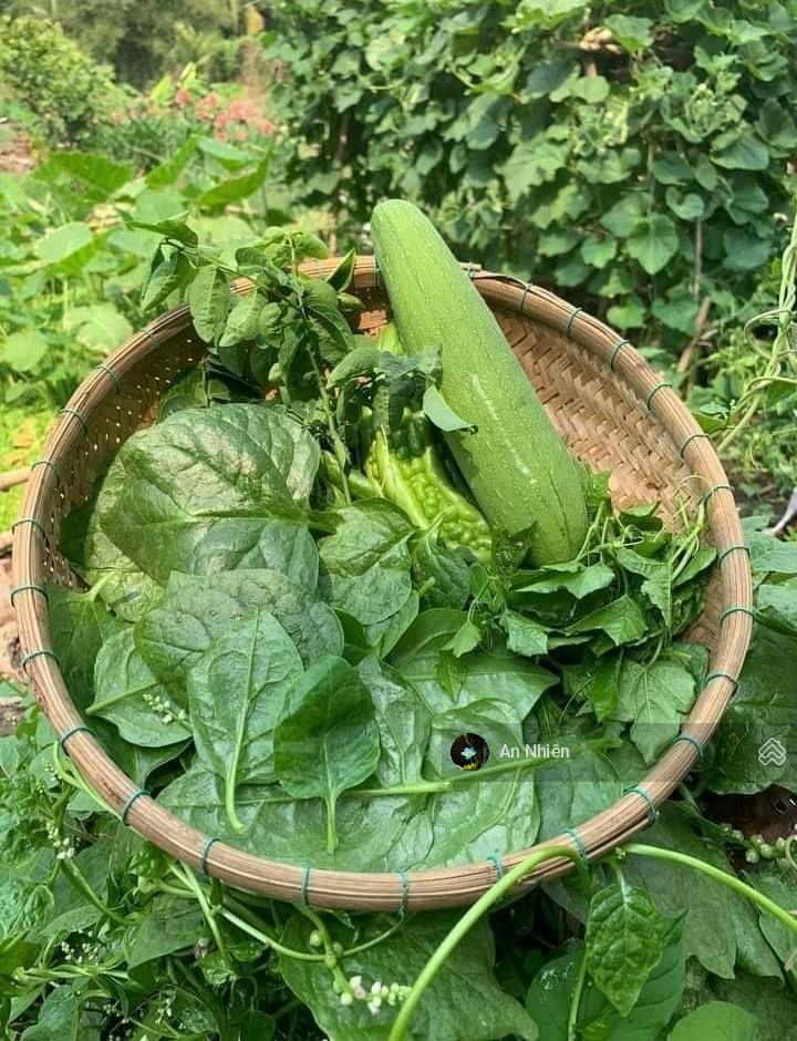 Chưa tới 1 tỷ sở hữu vườn nhà đồi view thung lũng gần hồ trị an