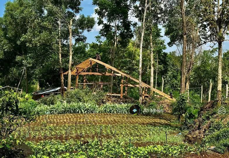 Sở hữu mảnh vườn view hồ trị an sáng nghe gió, chiều nhìn hồ