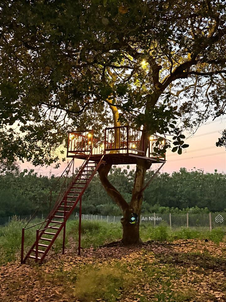 Sở hữu mảnh vườn view hồ trị an sáng nghe gió, chiều nhìn hồ