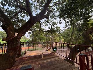 Khai xuân đón lộc đầu năm săn ngay mảnh vườn view hồ trị an giá chỉ 995tr