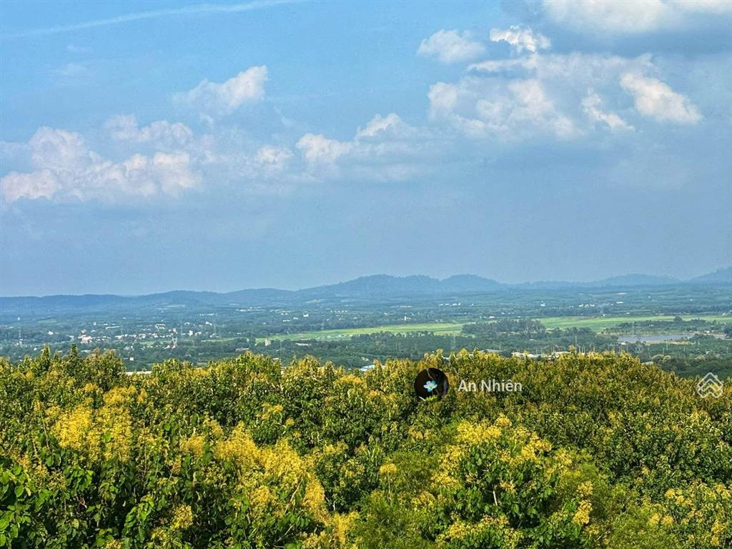 Kẹt tiền bán gấp vườn trái cây gần đức mẹ núi cúi, cạnh hồ trị an chỉ 995tr/1.000m²