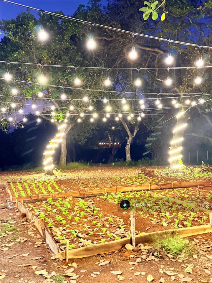 Kẹt tiền bán gấp vườn trái cây gần đức mẹ núi cúi, cạnh hồ trị an chỉ 995tr/1.000m²