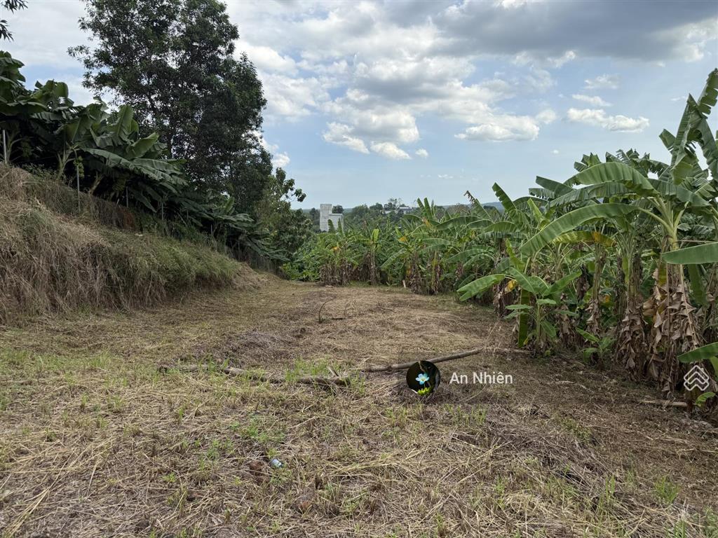 Giá cực mềm 125m full thổ cư ngay dầu giây chủ bán gấp