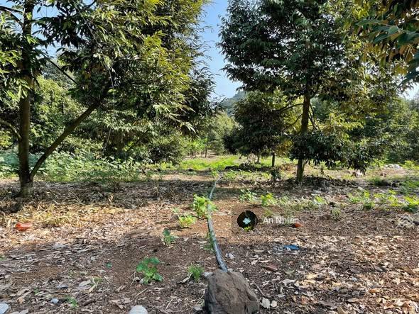 Giá cực mềm 125m full thổ cư ngay dầu giây chủ bán gấp