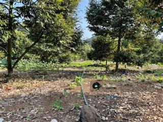 Giá cực mềm 125m full thổ cư ngay dầu giây chủ bán gấp