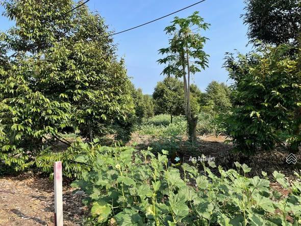 Giá cực mềm 125m full thổ cư ngay dầu giây chủ bán gấp