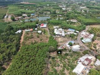 Chỉ với chưa tới 700 triệu đồng, bạn đã có thể sở hữu ngay một mảnh vườn sẵn thổ cư