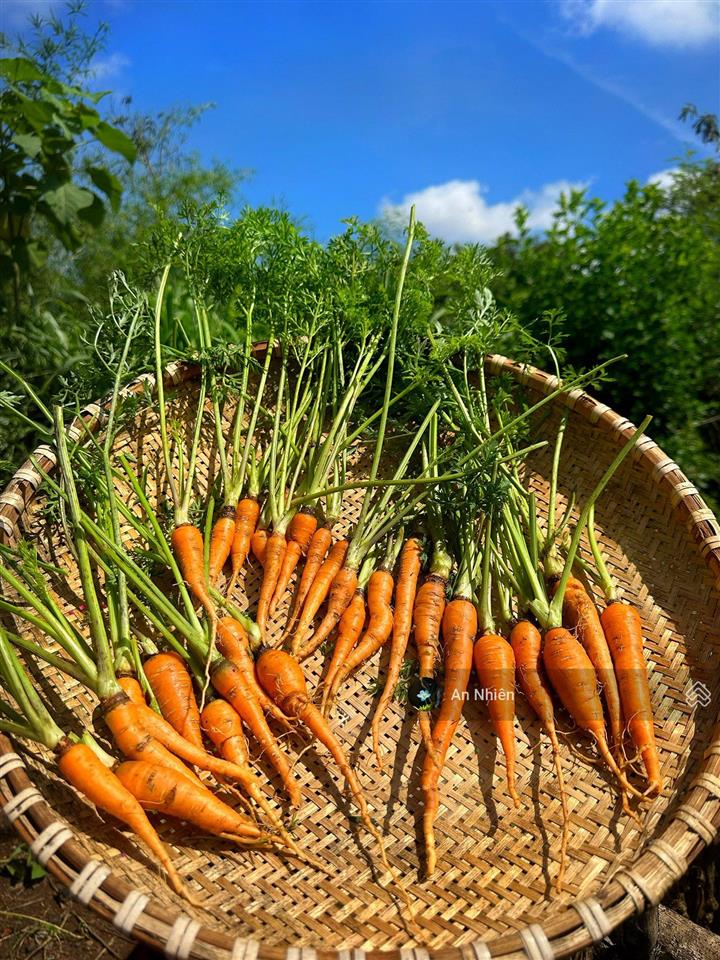 Cần tiền bán gấp mảnh vườn view hồ trị an giá chỉ bằng một chiếc ô tô