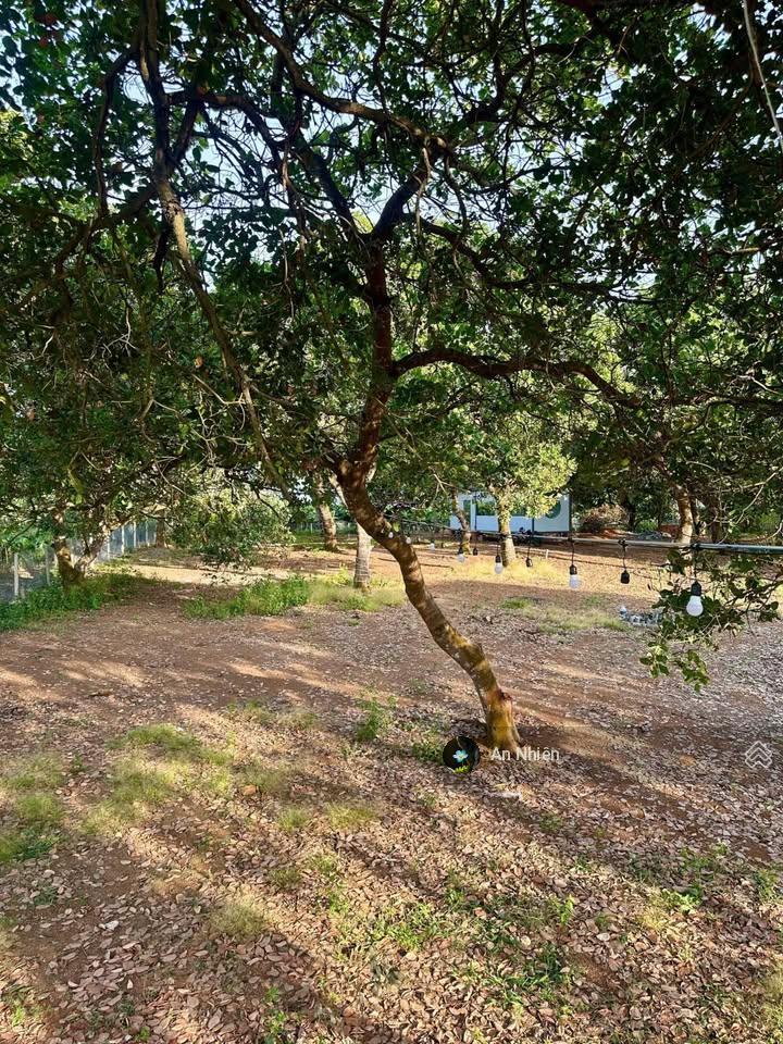 Cần tiền bán gấp mảnh vườn view hồ trị an giá chỉ bằng một chiếc ô tô