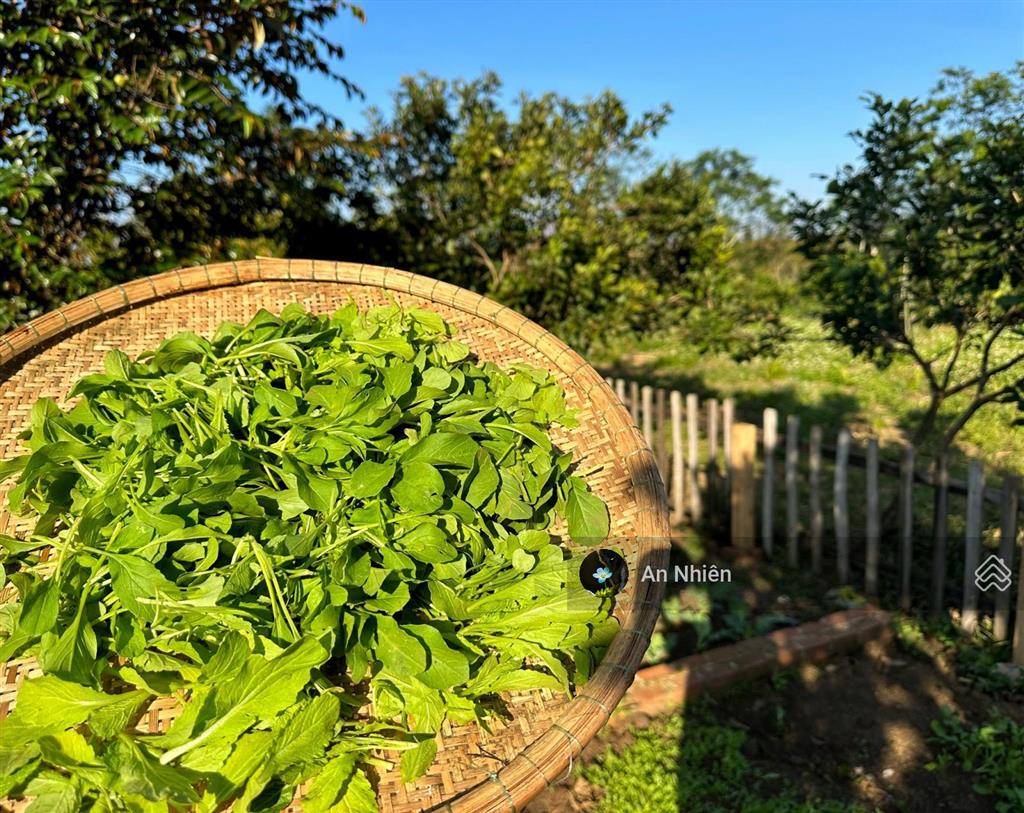 Cần tiền bán gấp mảnh vườn view hồ trị an giá chỉ bằng một chiếc ô tô