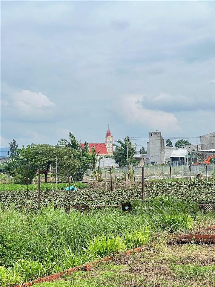 Chỉ 655 triệu có ngay đất thổ cư 2 mặt tiền tại thống nhất, đồng nai