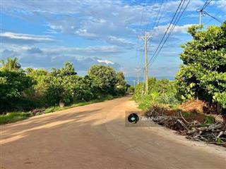 Cắt lỗ sâu chị gái cần đẩy gấp vườn cây ăn trái thống nhất dầu giây 998tr/1000m