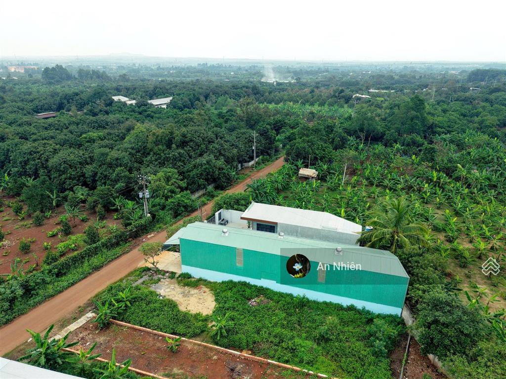 Chủ ngộp cần tiền gấp  bán rẻ lô đất 125m full thổ cư ngay dầu giây