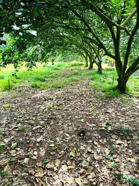 Chưa đến 1 tỷ sở hữu 161m thổ cư  cách ql20 chỉ 100m  đất dân sổ sẵn!