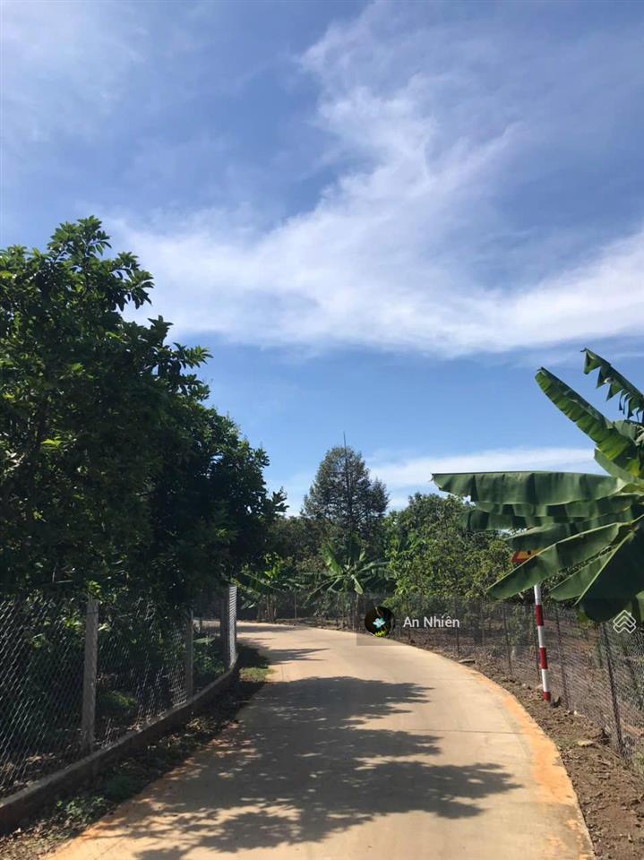 Chỉ 980tr sở hữu ngay "ngôi nhà thứ 2" ngập tràn trái ngọt tại thủ phủ trái cây gần long khánh