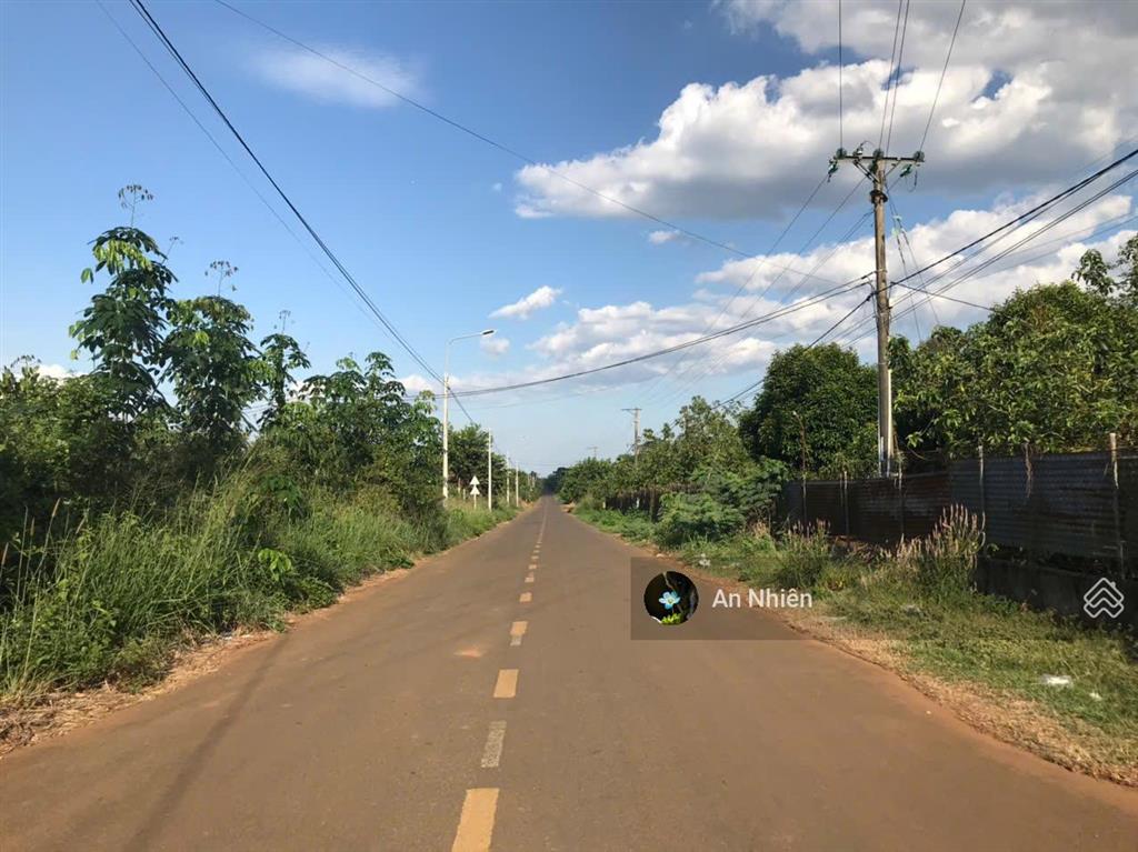 Chỉ 980tr sở hữu ngay "ngôi nhà thứ 2" ngập tràn trái ngọt tại thủ phủ trái cây gần long khánh