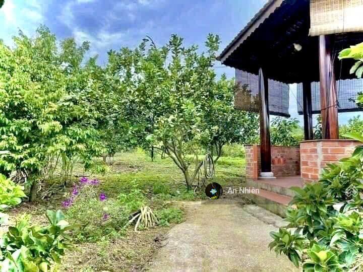 Đất giáp suối kề bên mẹ núi cúi view hồ trị an 1000m chỉ 995 triệu, chủ kẹt tiền bán gấp