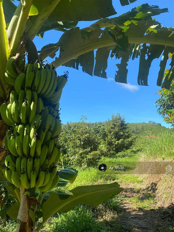 Đất giáp suối kề bên mẹ núi cúi view hồ trị an 1000m chỉ 995 triệu, chủ kẹt tiền bán gấp