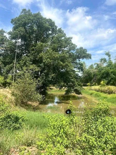 Cơ hội cuối cùng chỉ 385tr sở hữu đất thổ cư cận kề sân bay long thành