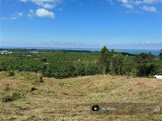 Có ngay 700m đất vườn sổ riêng cạnh hồ trị an mát rượi chỉ tư 500tr sỡ hữu