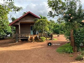 Bỏ phố về vườn chỉ với vốn ít  450m đất xinh xắn chờ chủ nhân mới