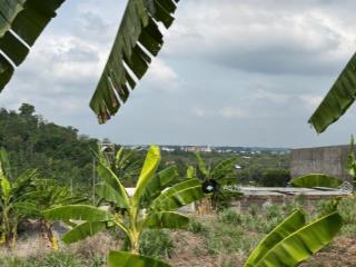 Chỉ 500tr  có ngay "mảnh vườn trong mơ" sát hồ trị an  sổ riêng từng nền