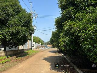 Sở hữu 250m2 đất thổ cư dầu giây, tặng kèm vườn cây ăn trái, sổ riêng