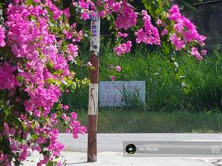 Thổ cư diện tích lớn gần trung tâm dầu giây, đức mẹ núi cúi diện tích lớn, hỗ trợ vay