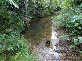 Chị gái kẹt tiền nhượng gấp vườn xoài view thung lũng định quán