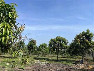 Chỉ 995 triệu sở hữu ngay 1200m2 vườn cây lâu năm view trực diện hồ trị an