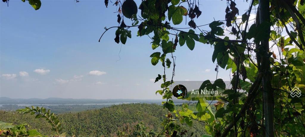 View thung lũng xanh mát sát ql20, mảnh đất lành để anh chị về nghỉ dưỡng