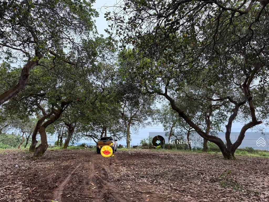 Tìm chủ mới yêu cây cỏ cho mảnh vườn 1.000m² sát hồ trị an, chỉ 995 triệu