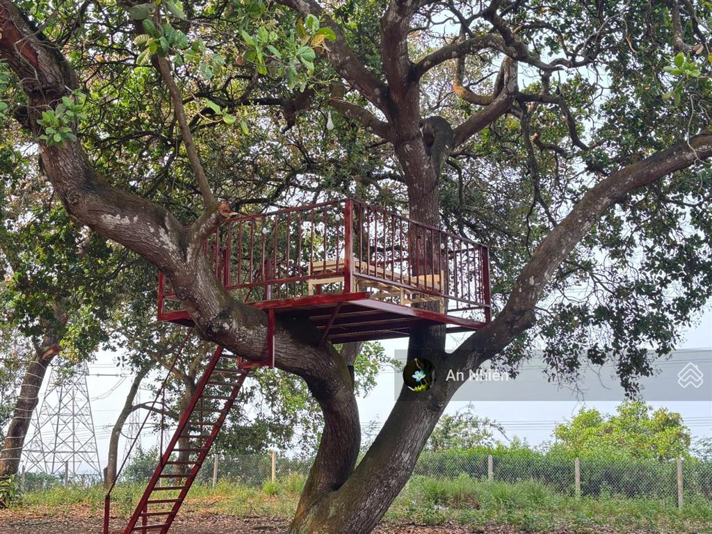 Tìm chủ mới yêu cây cỏ cho mảnh vườn 1.000m² sát hồ trị an, chỉ 995 triệu