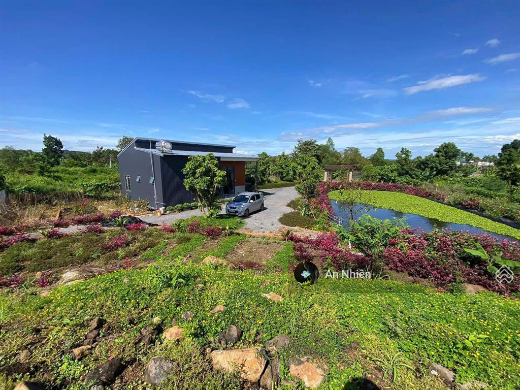 Tìm chủ mới yêu cây cỏ cho mảnh vườn 1.000m² sát hồ trị an, chỉ 995 triệu