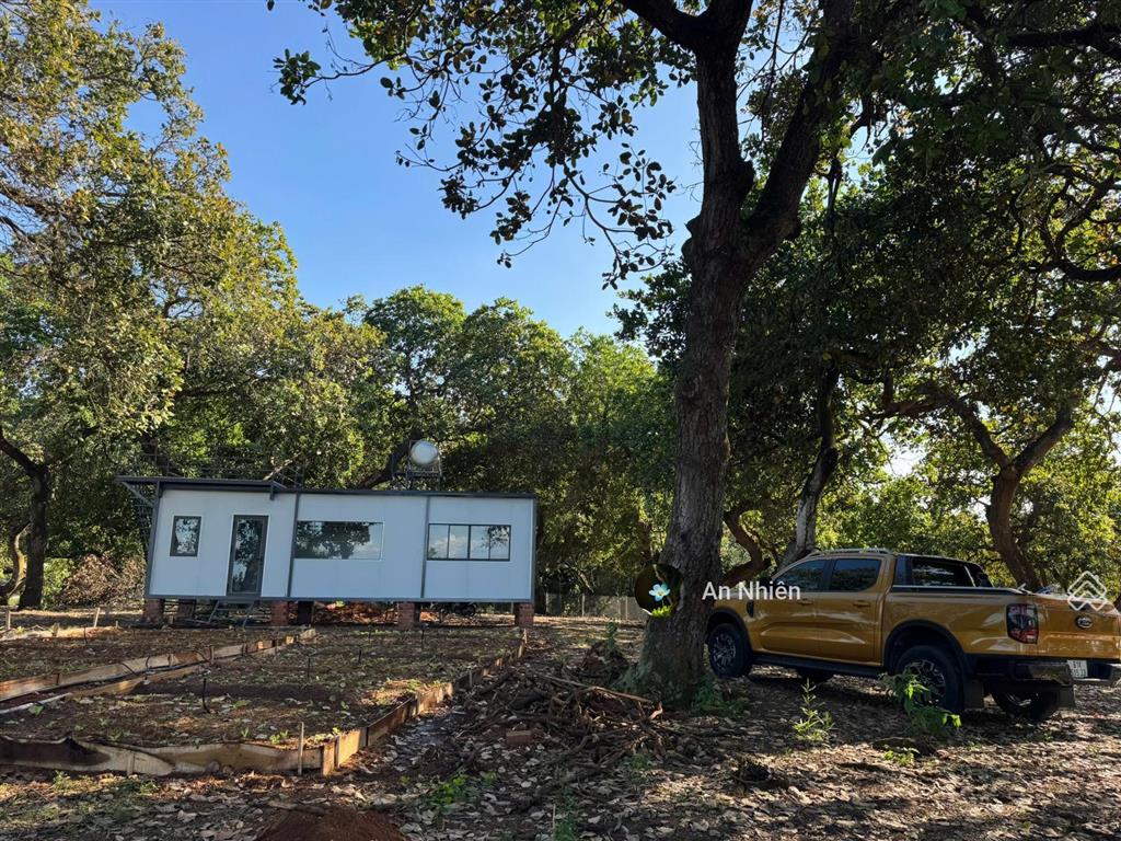 Tìm chủ mới yêu cây cỏ cho mảnh vườn 1.000m² sát hồ trị an, chỉ 995 triệu