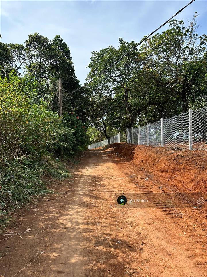 Tìm chủ mới yêu cây cỏ cho mảnh vườn 1.000m² sát hồ trị an, chỉ 995 triệu