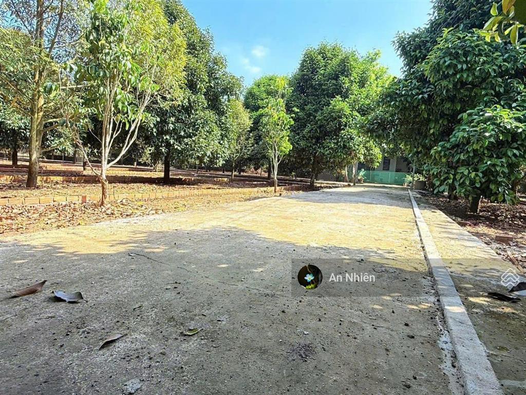 Chỉ 775tr sở hữu đất thổ cư sổ riêng, gần chợ và kcn dầu giây, dân cư đông