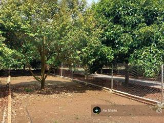 Chỉ 775tr sở hữu đất thổ cư sổ riêng, gần chợ và kcn dầu giây, dân cư đông