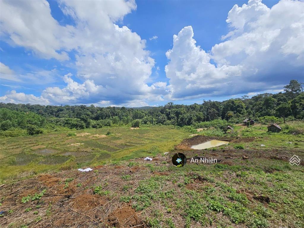 Ghé thăm mảnh vườn 450m² gần hồ trị an  nơi xây tổ ấm, trồng rau, an nhiên sống