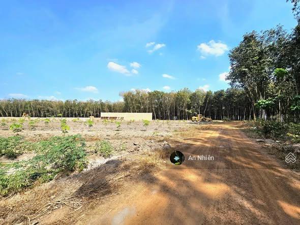 Ghé thăm mảnh vườn 450m² gần hồ trị an  nơi xây tổ ấm, trồng rau, an nhiên sống