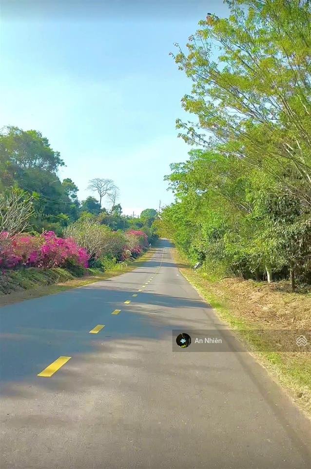 Ghé thăm mảnh vườn 450m² gần hồ trị an  nơi xây tổ ấm, trồng rau, an nhiên sống