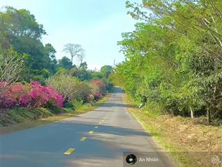 Ghé thăm mảnh vườn 450m² gần hồ trị an  nơi xây tổ ấm, trồng rau, an nhiên sống