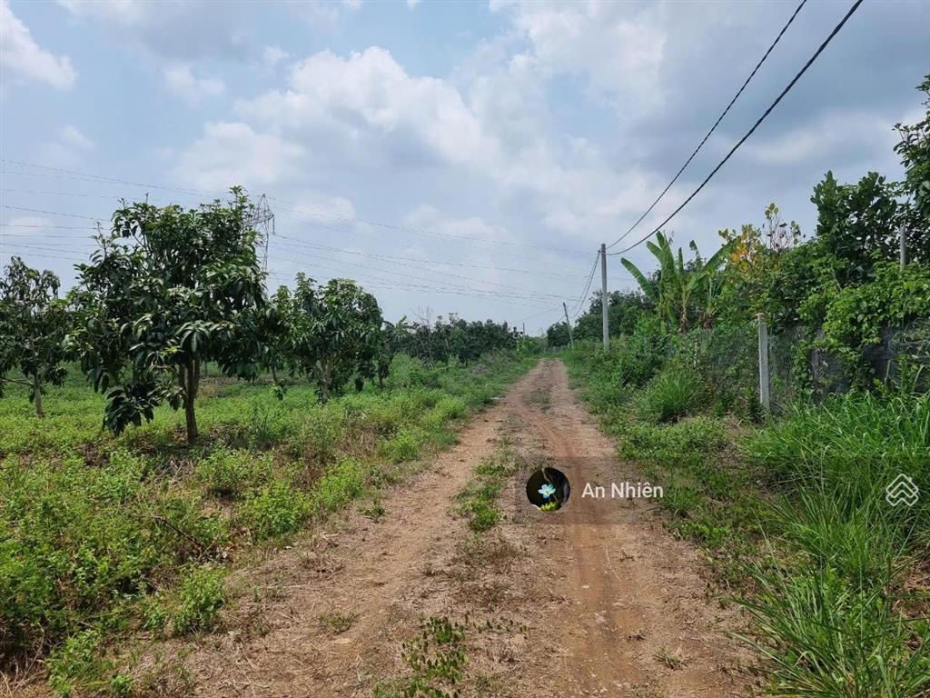 Góc vườn nhỏ 1.045m² tại định quán  sổ sẵn cầm tay, giá chỉ 400 triệu trọn sổ