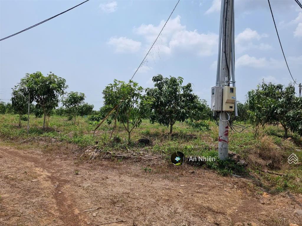 Góc vườn nhỏ 1.045m² tại định quán  sổ sẵn cầm tay, giá chỉ 400 triệu trọn sổ