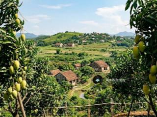 Vườn xoài la ngà 1200m2 sát ql20, đường bê tông, thích hợp nghỉ dưỡng, 950tr/sào