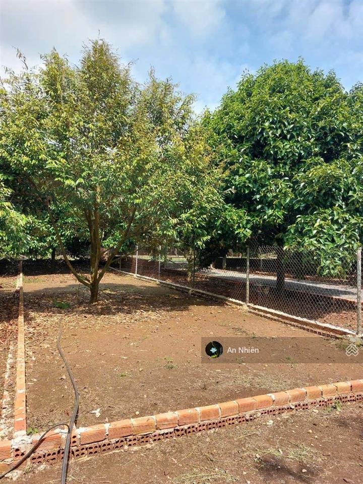 Đất thổ cư dầu giây 125m2, sổ riêng xây nhà ngay, dân cư đông, giá 775tr