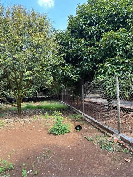 Đất thổ cư dầu giây 125m2, sổ riêng xây nhà ngay, dân cư đông, giá 775tr